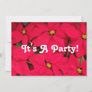 It's a Party Poinsettias Invitation