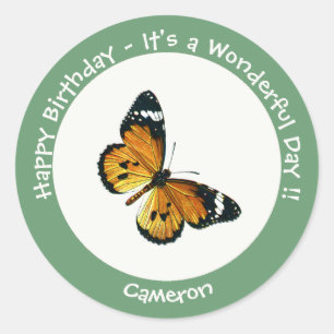 It's a Plain Tiger / African Queen Butterfly Party Classic Round Sticker