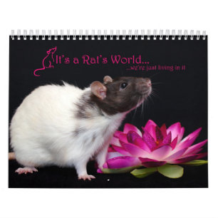 It's a Rat World Calendar 2016