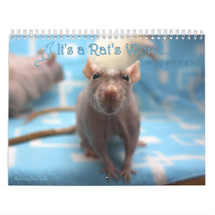 It's a Rat World Calendar 2016