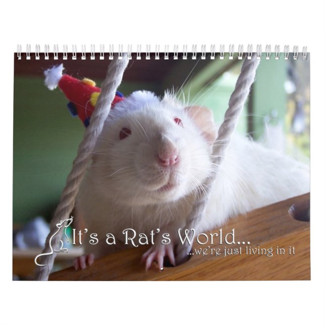 It's a Rat World Calendar 2016 (Cover)