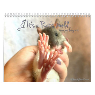 It's a Rat's World Calendar