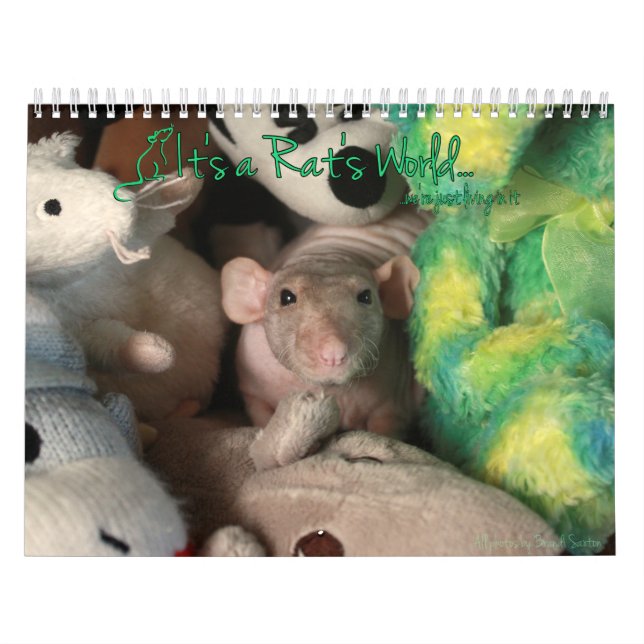 It's a Rat's World Calendar (Cover)