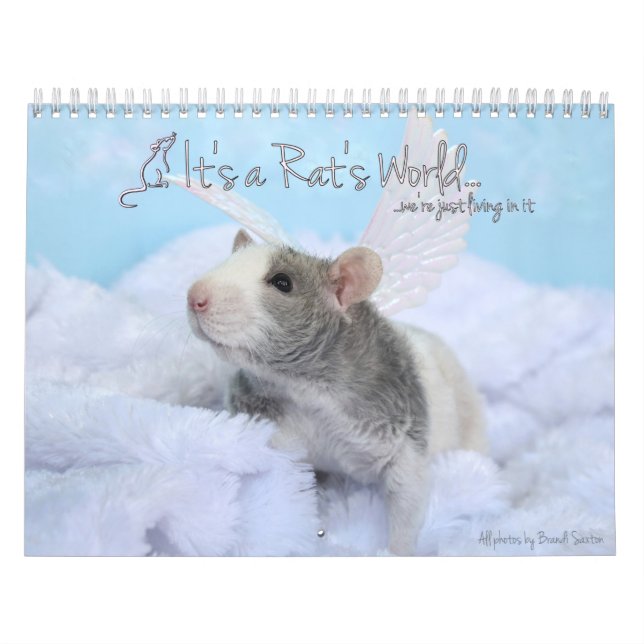 It's a Rat's World Calendar (Cover)
