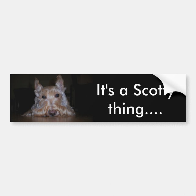 It's a Scotty thing... Bumper Sticker (Front)