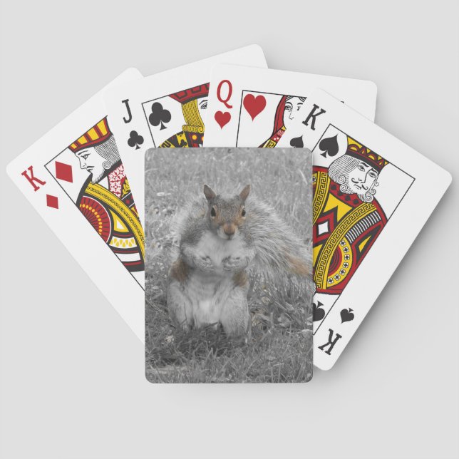 It's A Squirrel Playing Cards (Back)