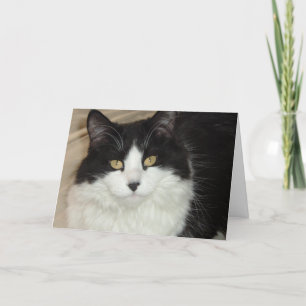 It's About Time You Got Home/Valentine Humour Holiday Card