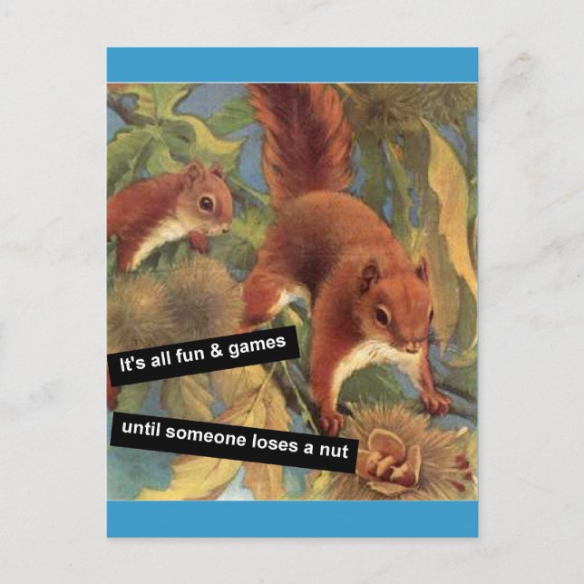 It's All Fun And Games Until Someone Loses A Nut  Postcard (Front)