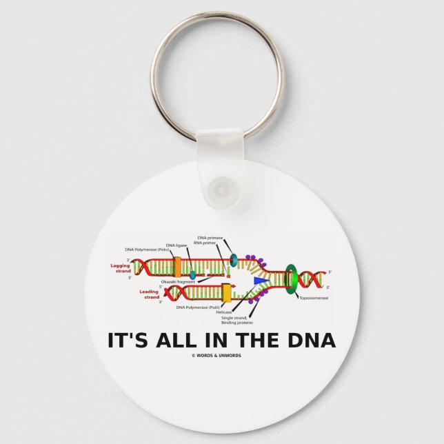 It's All In The DNA Key Ring (Front)