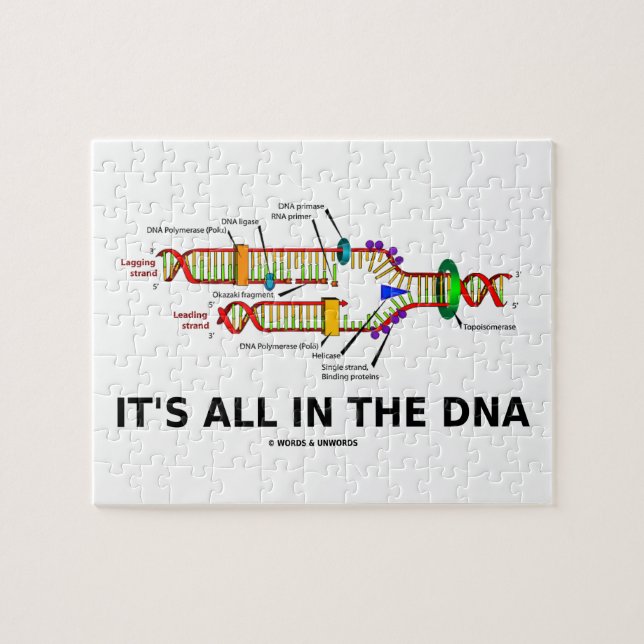 It's All In The DNA Molecular Biology Humour Jigsaw Puzzle (Horizontal)
