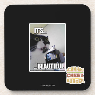 It's Beautiful Coaster