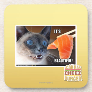 It's Beautiful! Coaster