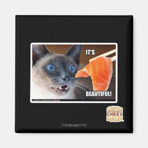 It's Beautiful! Magnet