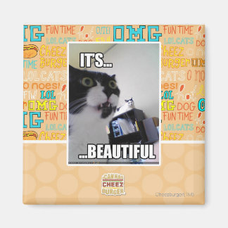 It's Beautiful Magnet