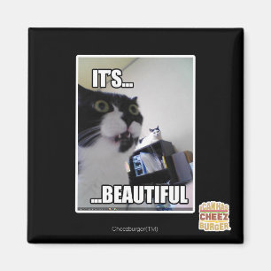 It's Beautiful Magnet