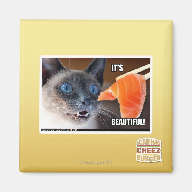 It's Beautiful! Magnet (Front)