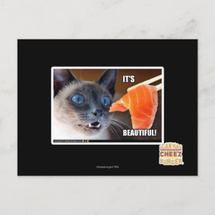 It's Beautiful! Postcard