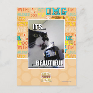 It's Beautiful Postcard