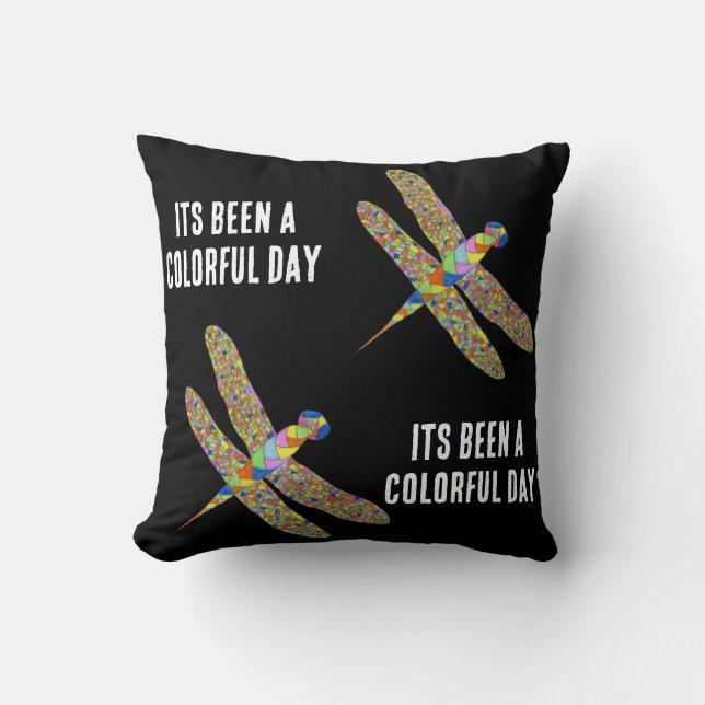 Its been a colourful day  cushion (Front)