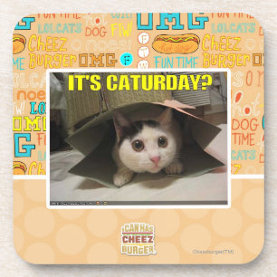 It's Caturday? Coaster