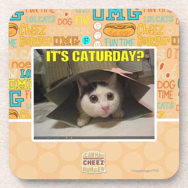 It's Caturday? Coaster (Front)
