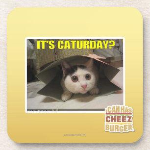 It's Caturday? Coaster