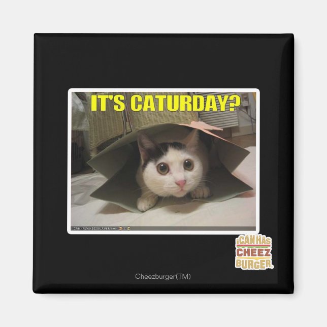 It's Caturday? Magnet (Front)