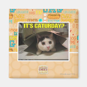 It's Caturday? Magnet
