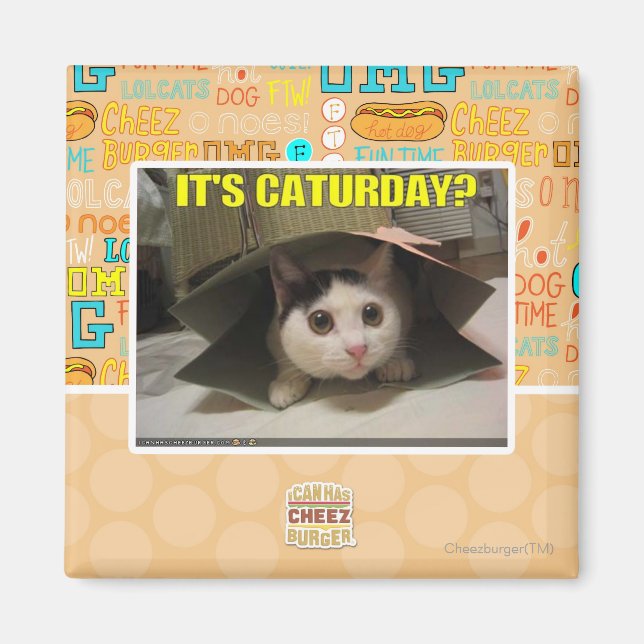 It's Caturday? Magnet (Front)