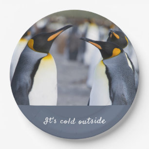 It's cold outside King Penguin photo with text Paper Plate