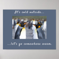 It's cold outside King Penguin photo with text
