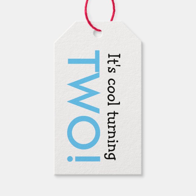 It's Cool Turning Two Kid's Birthday Gift Tag (Front)
