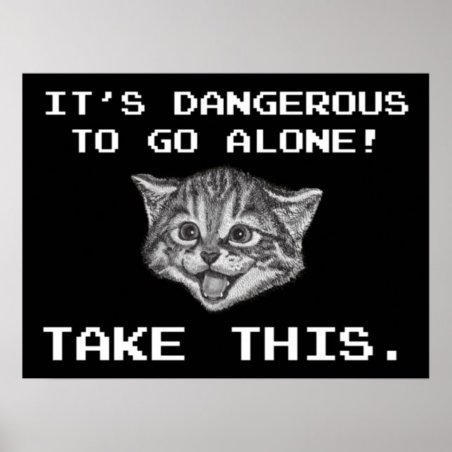 It's Dangerous To Go Alone! Take This Poster (Front)