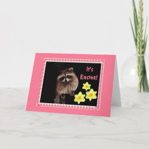 It's Easter!  Racoon card for everyone.