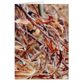 It's Fall, I Think of You...