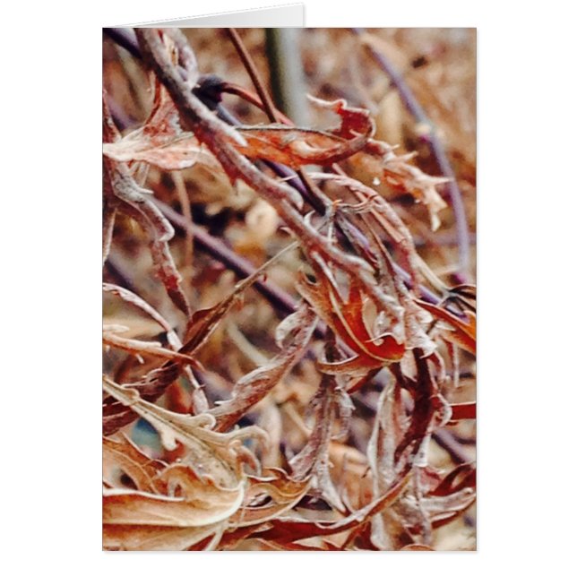 It's Fall, I Think of You... (Front)