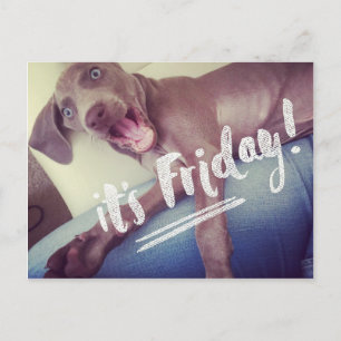 It's Friday! Postcard