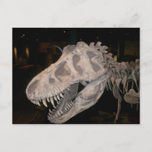 It's gonna eat you!!! postcard