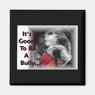 it's good to be a bully magnet