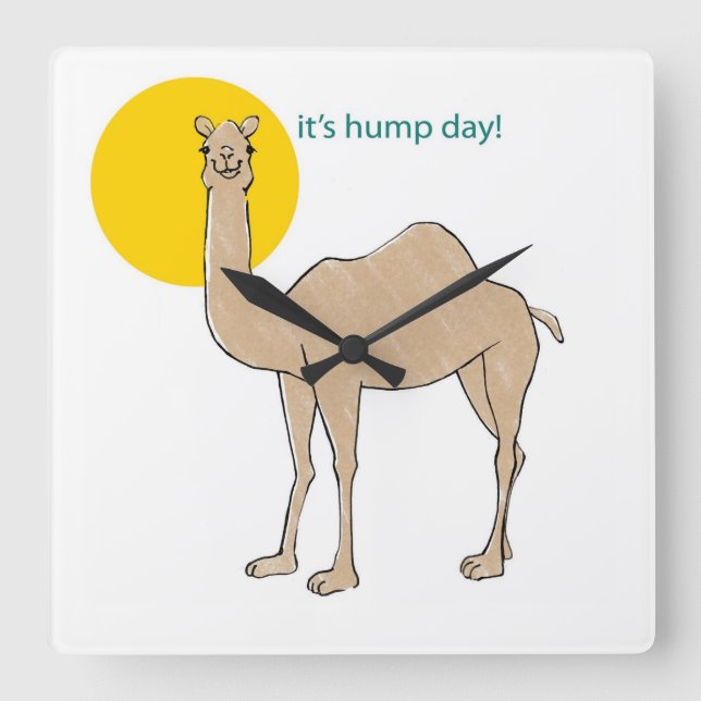 It's hump day! square wall clock (Front)