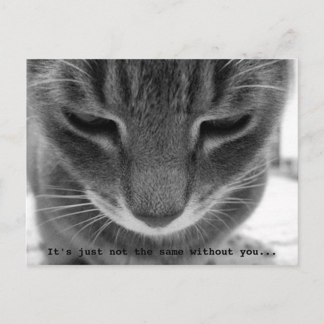 It's just not the same without you... postcard (Front)