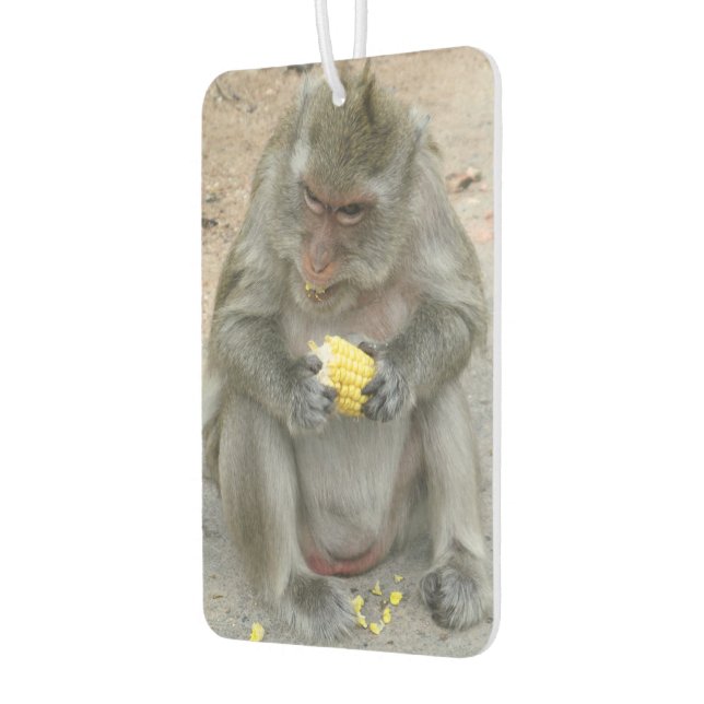 It's Mine!! ... Wild Thai Macaque Monkey Car Air Freshener (Left)