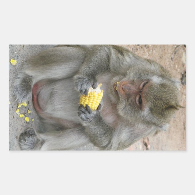 It's Mine!! ... Wild Thai Macaque Monkey Rectangular Sticker (Front)