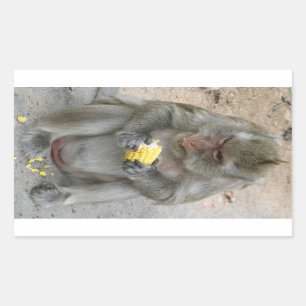 It's Mine!! ... Wild Thai Macaque Monkey Rectangular Sticker