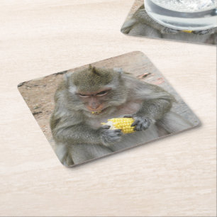 It's Mine!! ... Wild Thai Macaque Monkey Square Paper Coaster