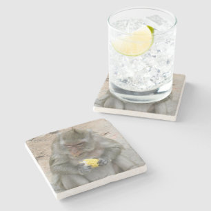 It's Mine!! ... Wild Thai Macaque Monkey Stone Coaster