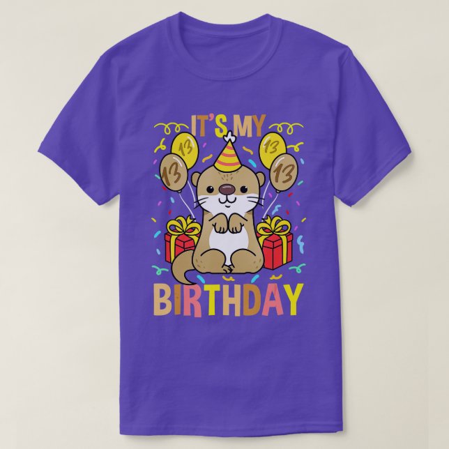 Its My 13th Birthday Otter  T-Shirt (Design Front)