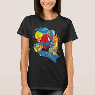 Its My 15 Birthday T-Shirt