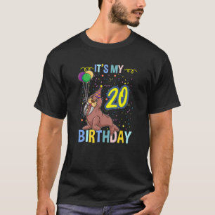 Its My 20Th Birthday Walrus Ocean Animal T-Shirt
