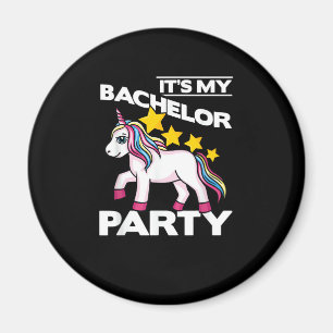 It's My Bachelor Party For Groom Naughty Funny Men Magnet